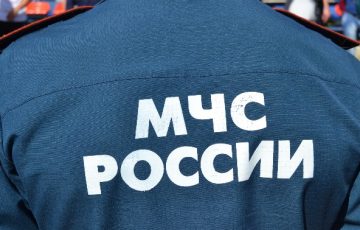 В Тамбовской области вынесли приговор взяточникам – коммерсанту и сотруднику МЧС